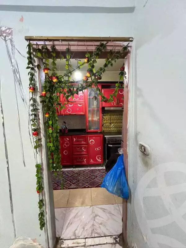 https://aqarmap.com.eg/en/listing/5957293-for-sale-alexandria-l-jmy-lbytsh-khalil-ballw-st