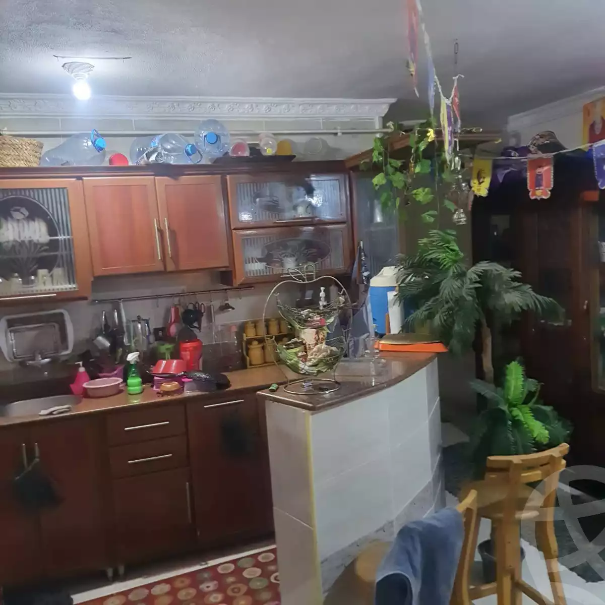 https://aqarmap.com.eg/ar/listing/5957969-for-sale-alexandria-l-jmy-lbytsh-al-samalehy-2-st