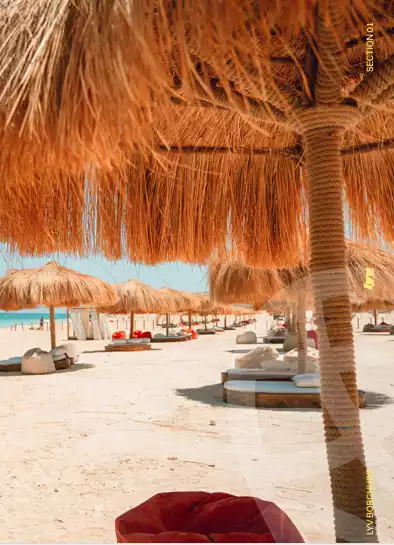 https://aqarmap.com.eg/en/listing/5961119-for-sale-north-coast-resorts-lyv-resort-gates