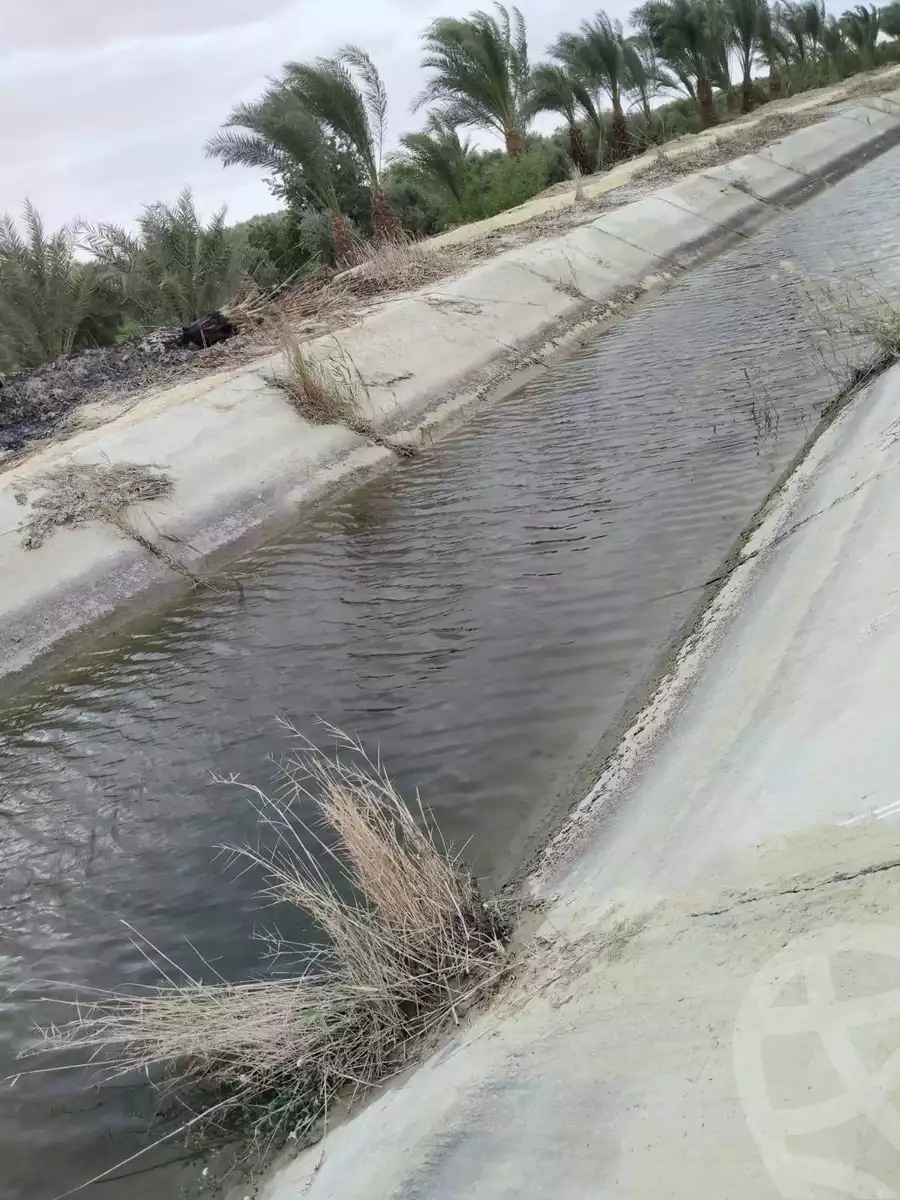 https://aqarmap.com.eg/en/listing/5965052-for-sale-el-fayoum-yousef-el-sedeeq-wady-el-rayan