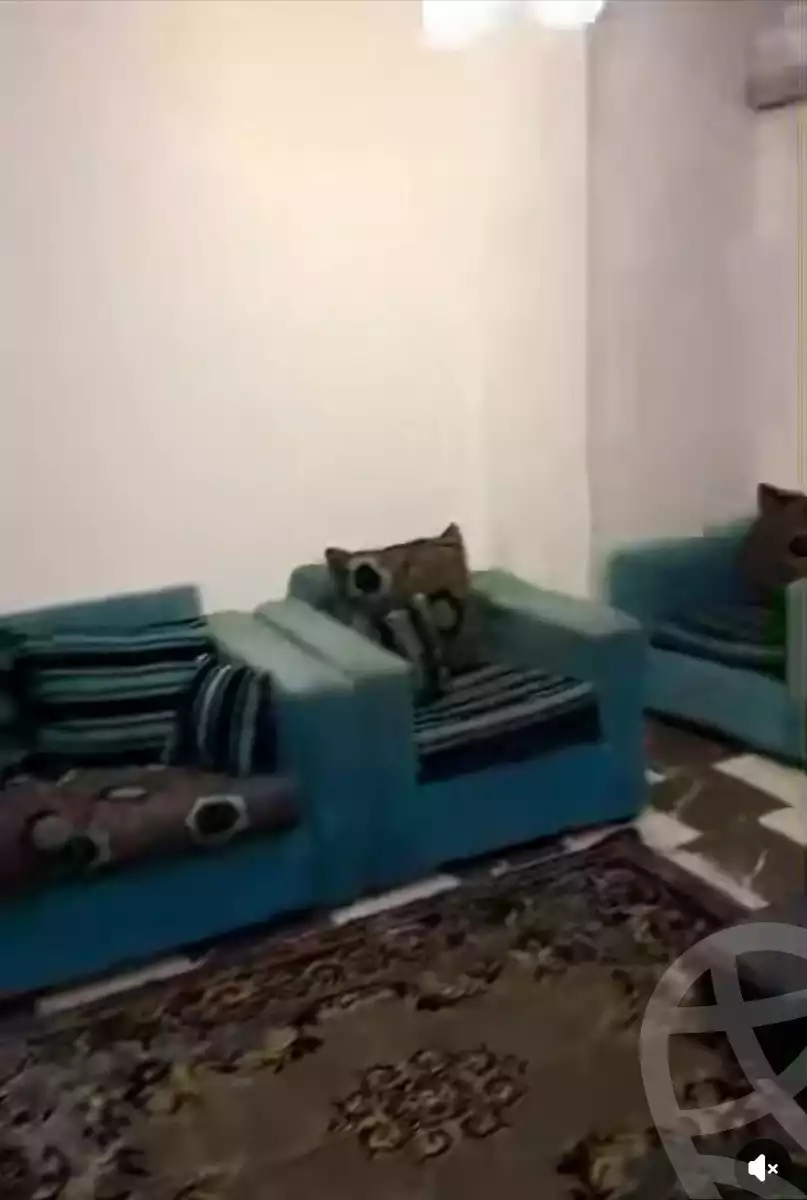 https://aqarmap.com.eg/en/listing/5966070-for-sale-cairo-faisal-kafr-tohormos