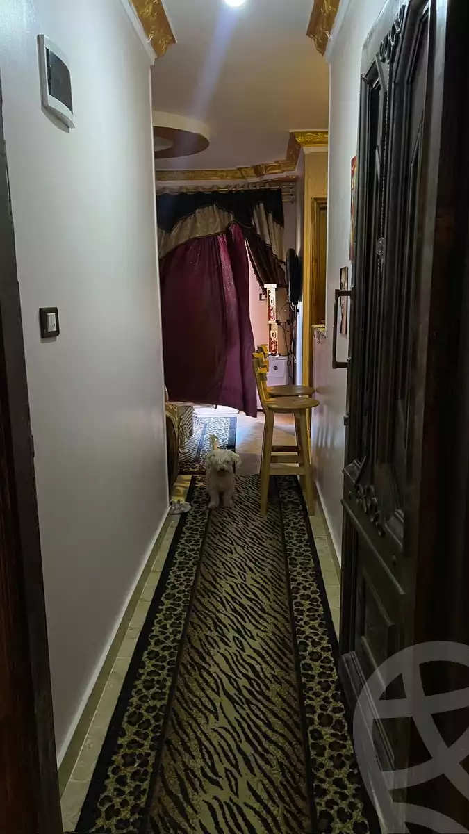 https://aqarmap.com.eg/en/listing/5968675-for-sale-alexandria-l-jmy-lbytsh-bianchiii