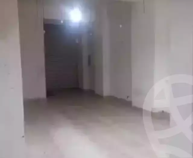 https://aqarmap.com.eg/en/listing/5969158-for-rent-alexandria-el-amreya