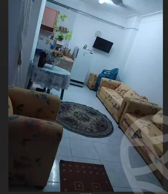 https://aqarmap.com.eg/en/listing/5969232-for-rent-alexandria-l-jmy-shataa-el-nakheel
