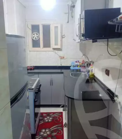 https://aqarmap.com.eg/en/listing/5969343-for-rent-alexandria-lsywf