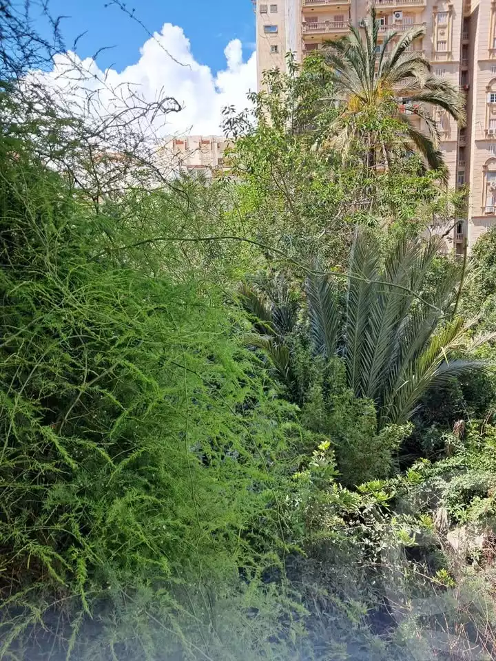 https://aqarmap.com.eg/en/listing/5972403-for-sale-alexandria-ganaklis