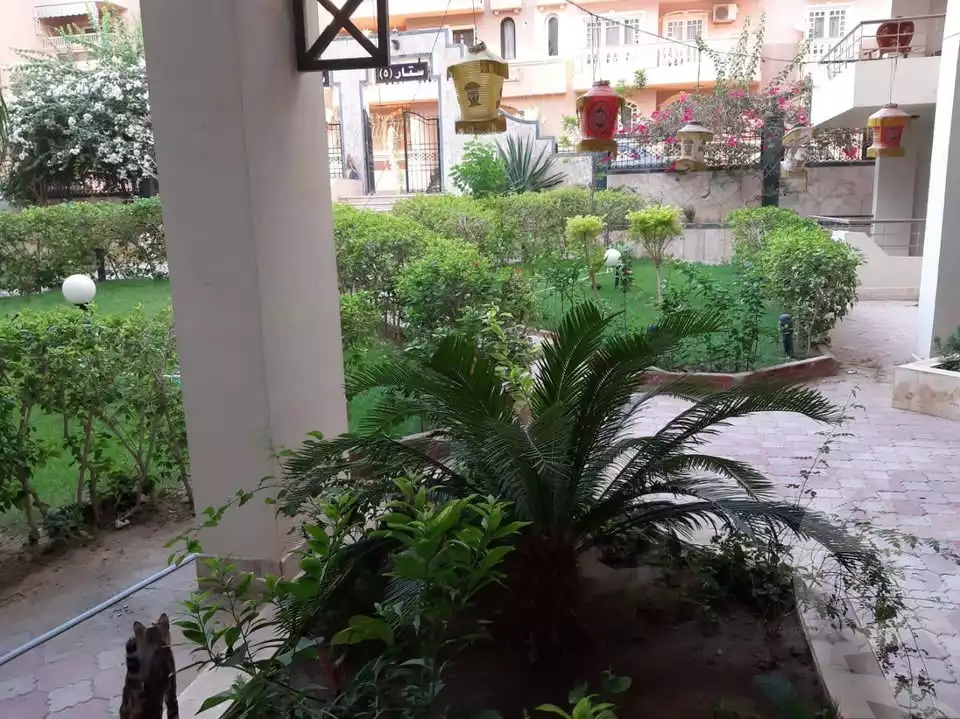 https://aqarmap.com.eg/en/listing/5972573-for-rent-cairo-mokattam-el-hadabah-el-wosta-6th-zone-salah-eldeen-alayobi-st