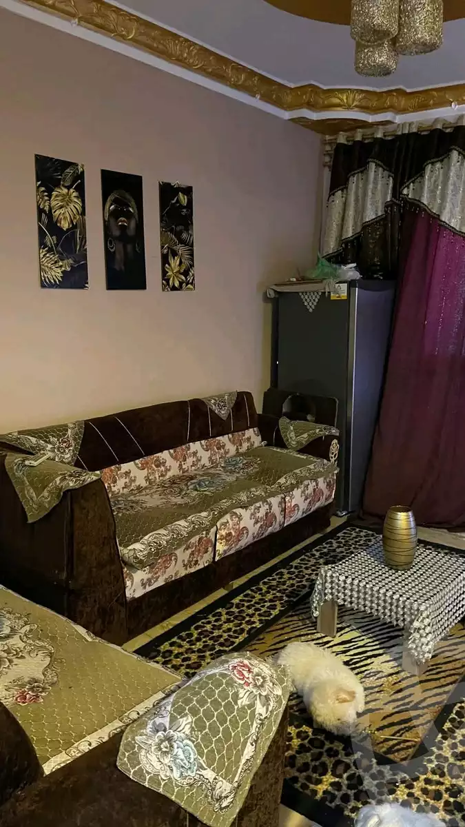 https://aqarmap.com.eg/en/listing/5976529-for-sale-alexandria-l-jmy-lbytsh-bianchiii