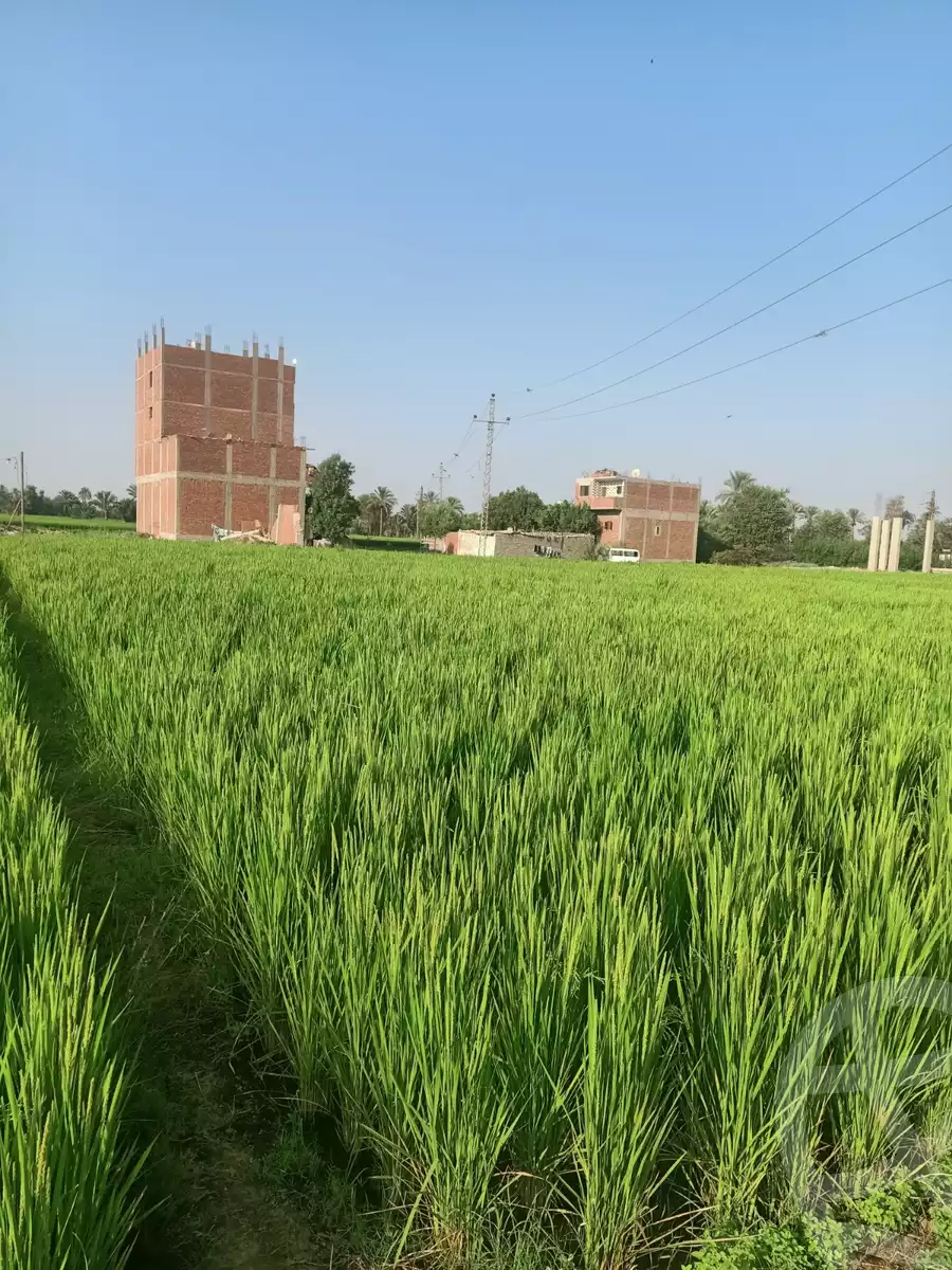 https://aqarmap.com.eg/en/listing/5977216-for-sale-sharqia-mashtul-el-soq-kafr-yousef-shehata