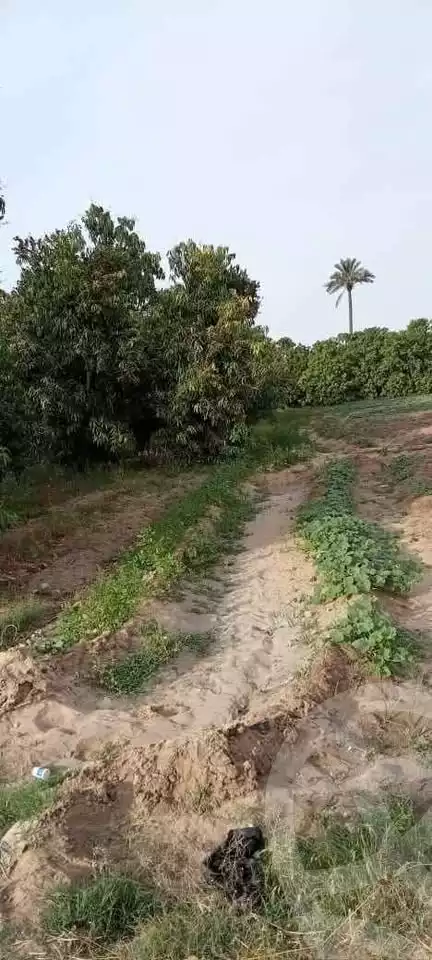 https://aqarmap.com.eg/ar/listing/5977567-for-sale-ismailia-el-qantara-gharb