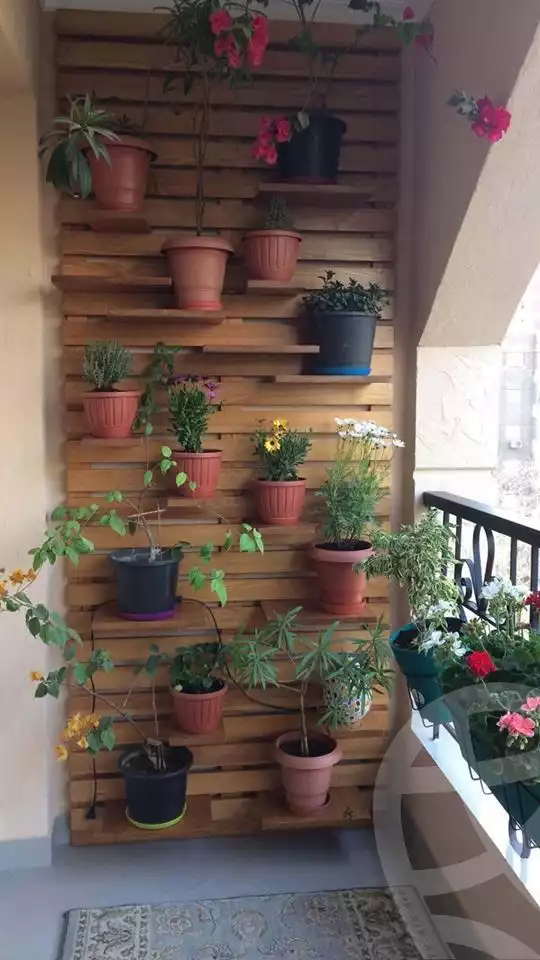 https://aqarmap.com.eg/en/listing/5978175-for-rent-cairo-dokki-manteqt-nadi-el-syd