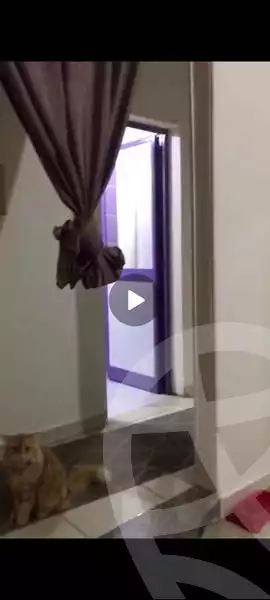 https://aqarmap.com.eg/en/listing/5978591-for-sale-cairo-faisal-hassan-mohamed-st