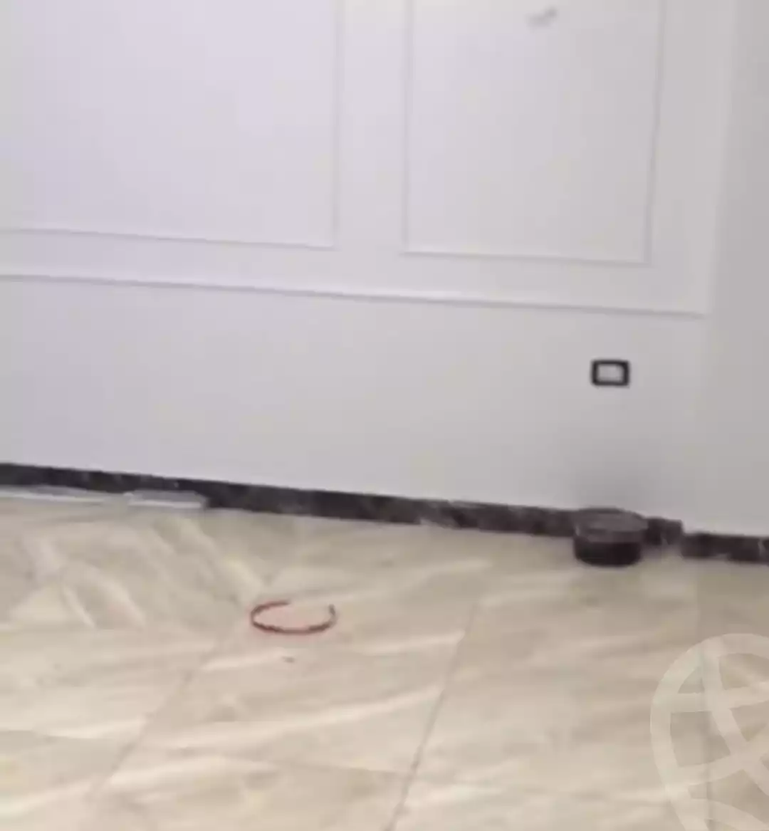 https://aqarmap.com.eg/en/listing/5979523-for-sale-alexandria-l-jmy-el-hanouvel-radwan-st