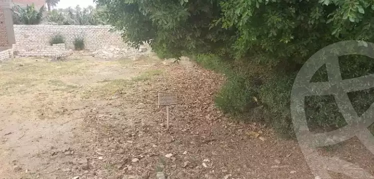 https://aqarmap.com.eg/en/listing/5982577-for-sale-asyut-asyut-city