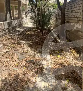 https://aqarmap.com.eg/en/listing/5985393-for-sale-alexandria-l-jmy-shataa-el-nakheel