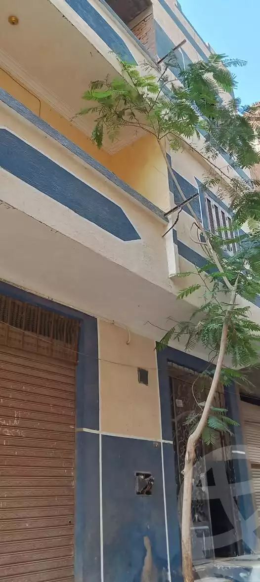 https://aqarmap.com.eg/en/listing/5989540-for-sale-cairo-el-marg-mohamed-nageb