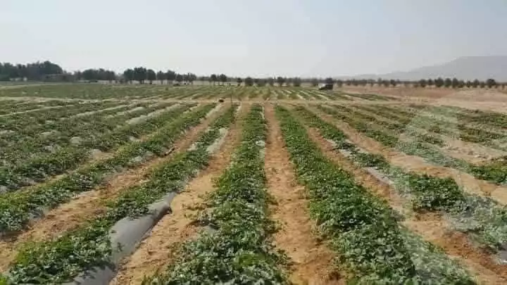 https://aqarmap.com.eg/en/listing/5991214-for-sale-cairo-ljyz