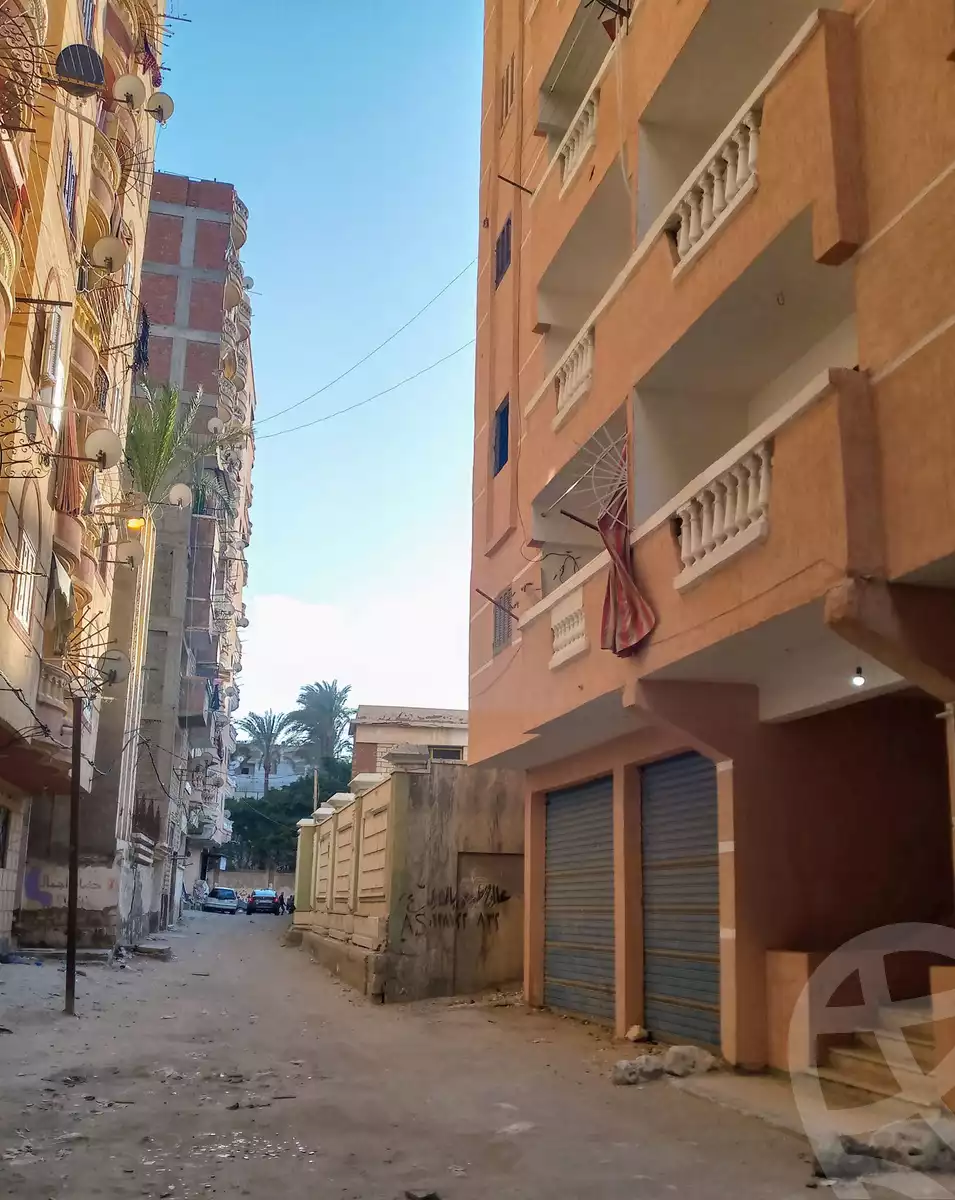 https://aqarmap.com.eg/en/listing/5991620-for-sale-alexandria-l-jmy-el-hanouvel