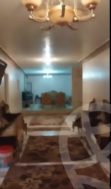 https://aqarmap.com.eg/en/listing/5996464-for-sale-alexandria-l-jmy-el-hanouvel-al-asdakaa-st