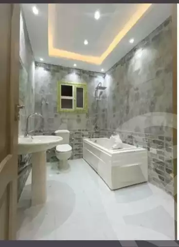 https://aqarmap.com.eg/en/listing/5685236-for-rent-cairo-dokki-mydn-lmsh-al-mesaha-st