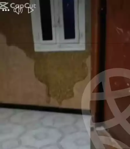 https://aqarmap.com.eg/en/listing/6000355-for-rent-qalyubia-shubra-el-khaima-byjm
