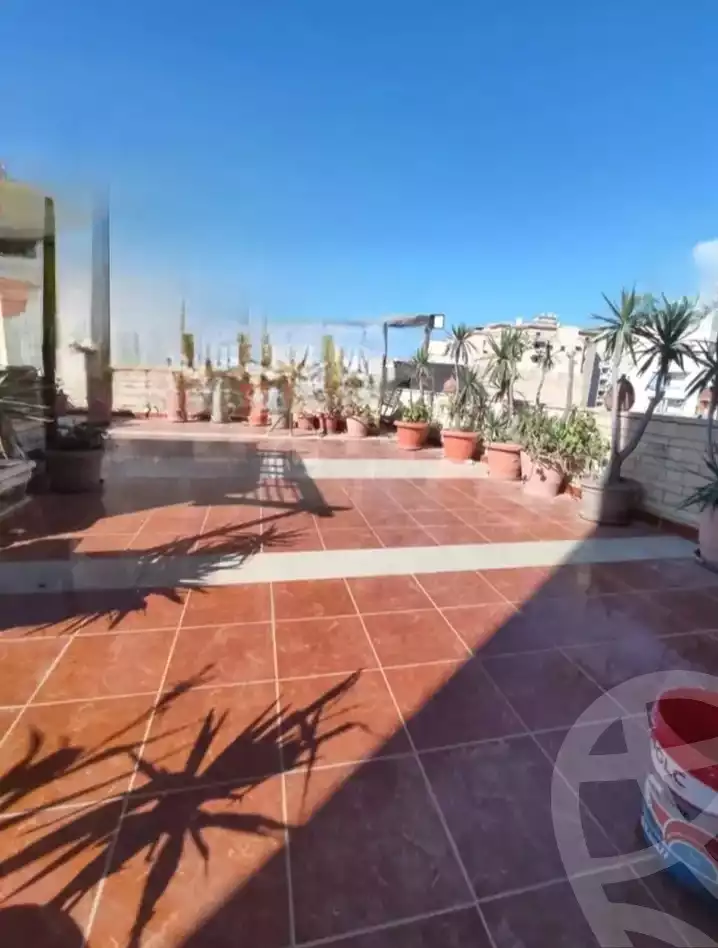 https://aqarmap.com.eg/ar/listing/6002454-for-sale-alexandria-l-jmy-lbytsh-bianchiii