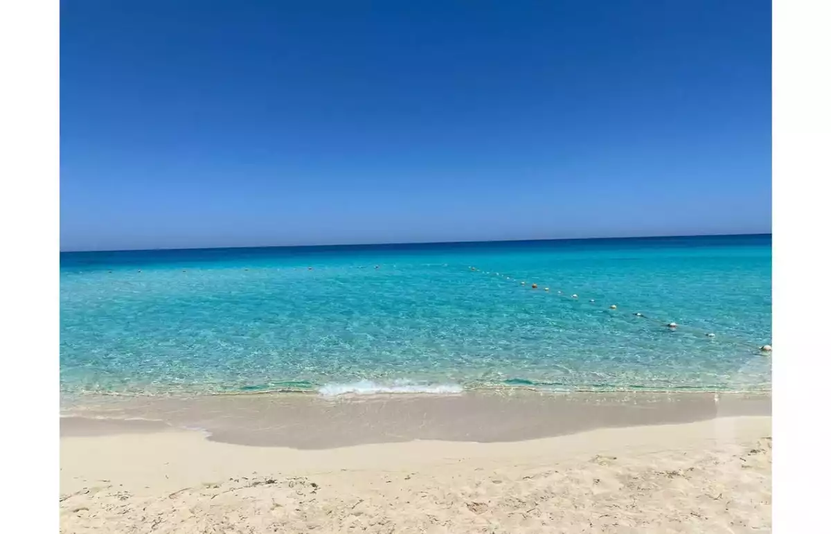 https://aqarmap.com.eg/ar/listing/6003668-for-sale-north-coast-resorts-marina-5