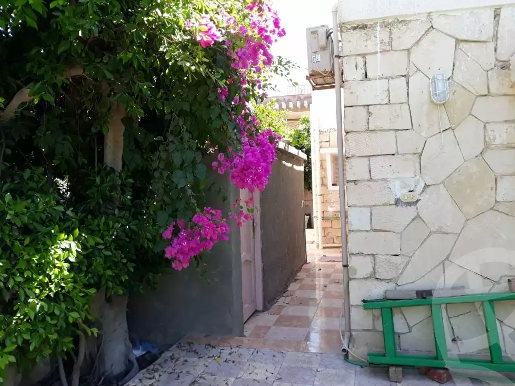 https://aqarmap.com.eg/ar/listing/6005372-for-sale-alexandria-l-jmy-bw-ywsf