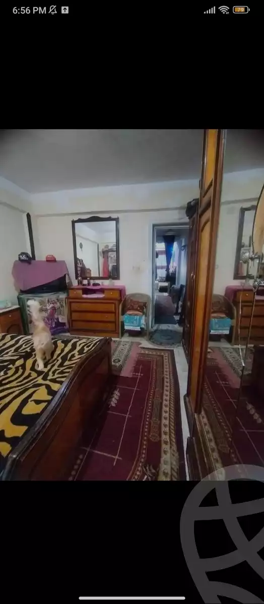 https://aqarmap.com.eg/en/listing/6006340-for-sale-alexandria-l-jmy-lbytsh-el-hay-st