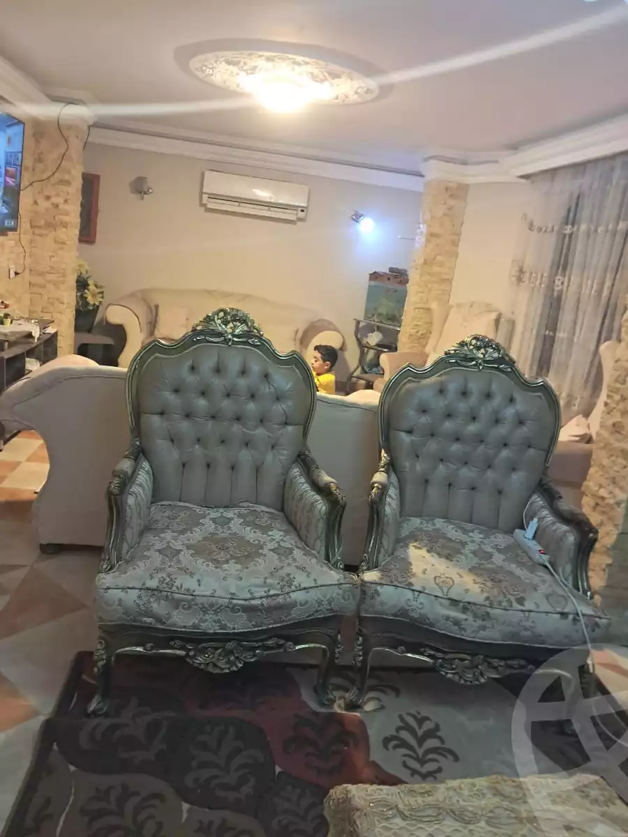 https://aqarmap.com.eg/en/listing/6006521-for-sale-cairo-ain-shams-jsr-lswys-gamal-abd-el-naser-st