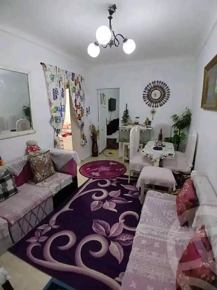 https://aqarmap.com.eg/ar/listing/6009280-for-sale-alexandria-l-jmy-lbytsh-el-hay-st