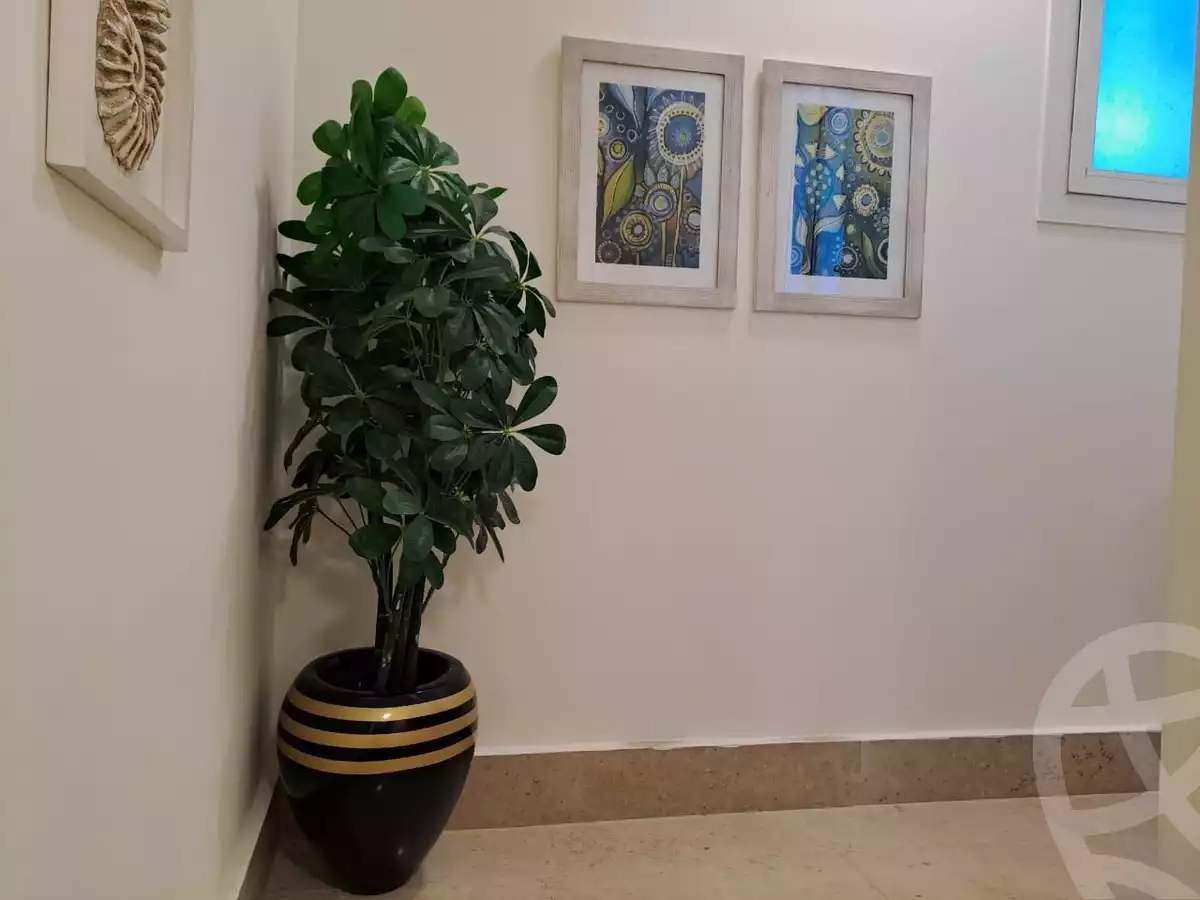 https://aqarmap.com.eg/en/listing/6012938-for-rent-north-coast-resorts-seashells-resort