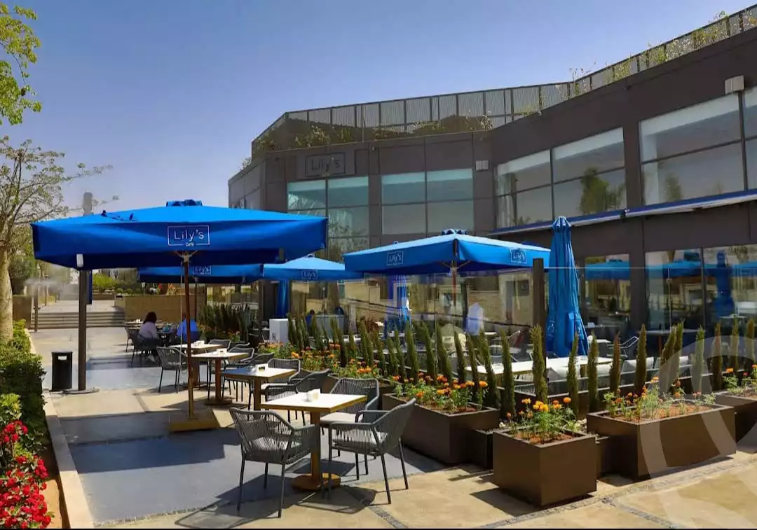 https://aqarmap.com.eg/en/listing/6020489-for-rent-cairo-el-sheikh-zayed-city-compounds-walk-of-cairo-mall