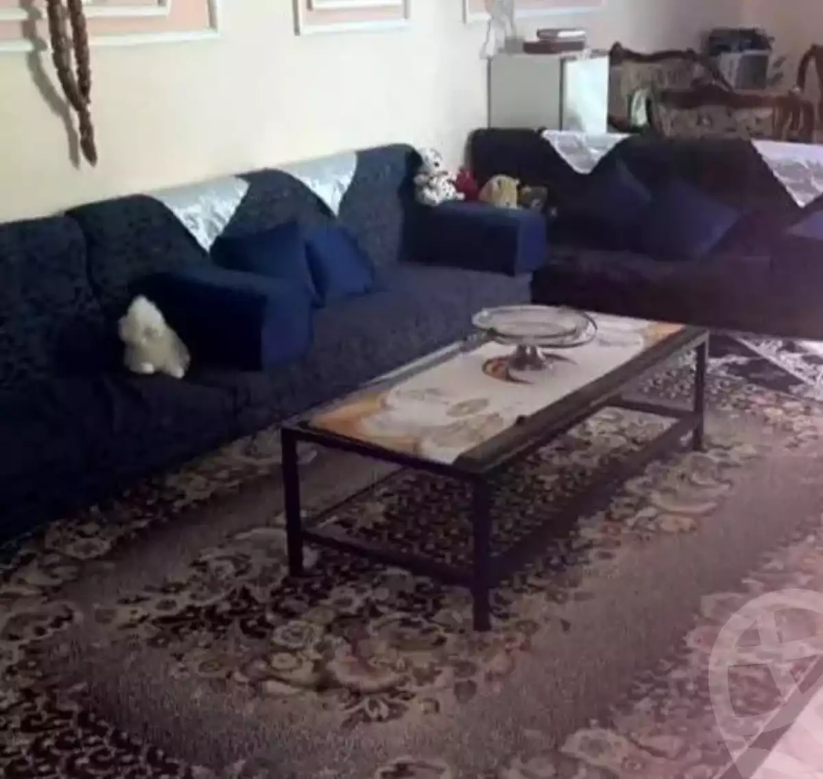 https://aqarmap.com.eg/en/listing/6022959-for-sale-alexandria-ganaklis-el-morsaleen-el-american-st