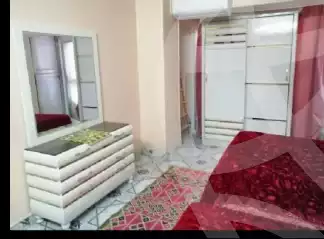 https://aqarmap.com.eg/en/listing/6023005-for-rent-cairo-nasr-city-abbas-el-akkad