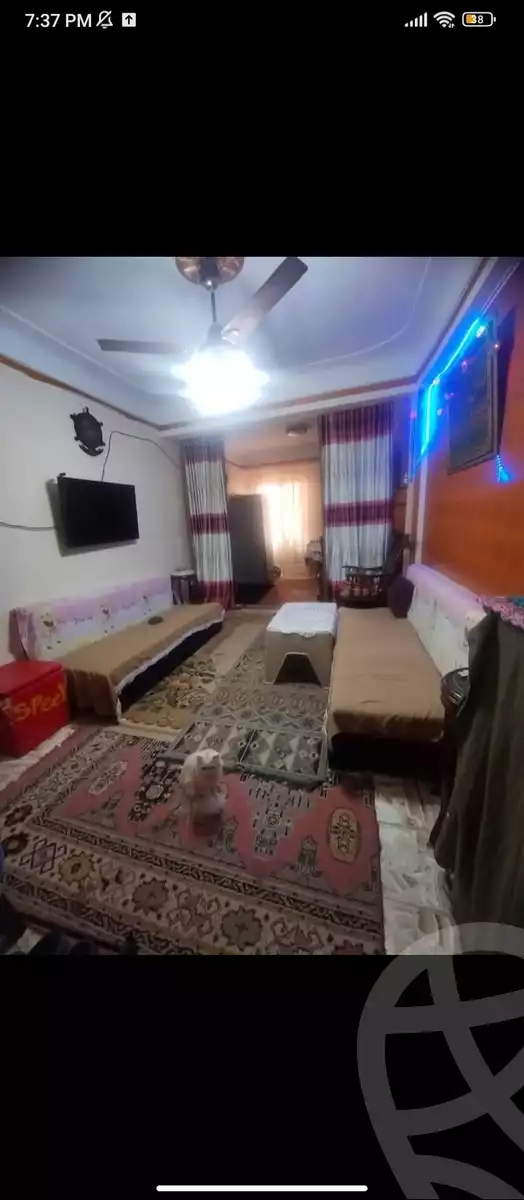 https://aqarmap.com.eg/en/listing/6026736-for-sale-alexandria-l-jmy-lbytsh-el-hay-st