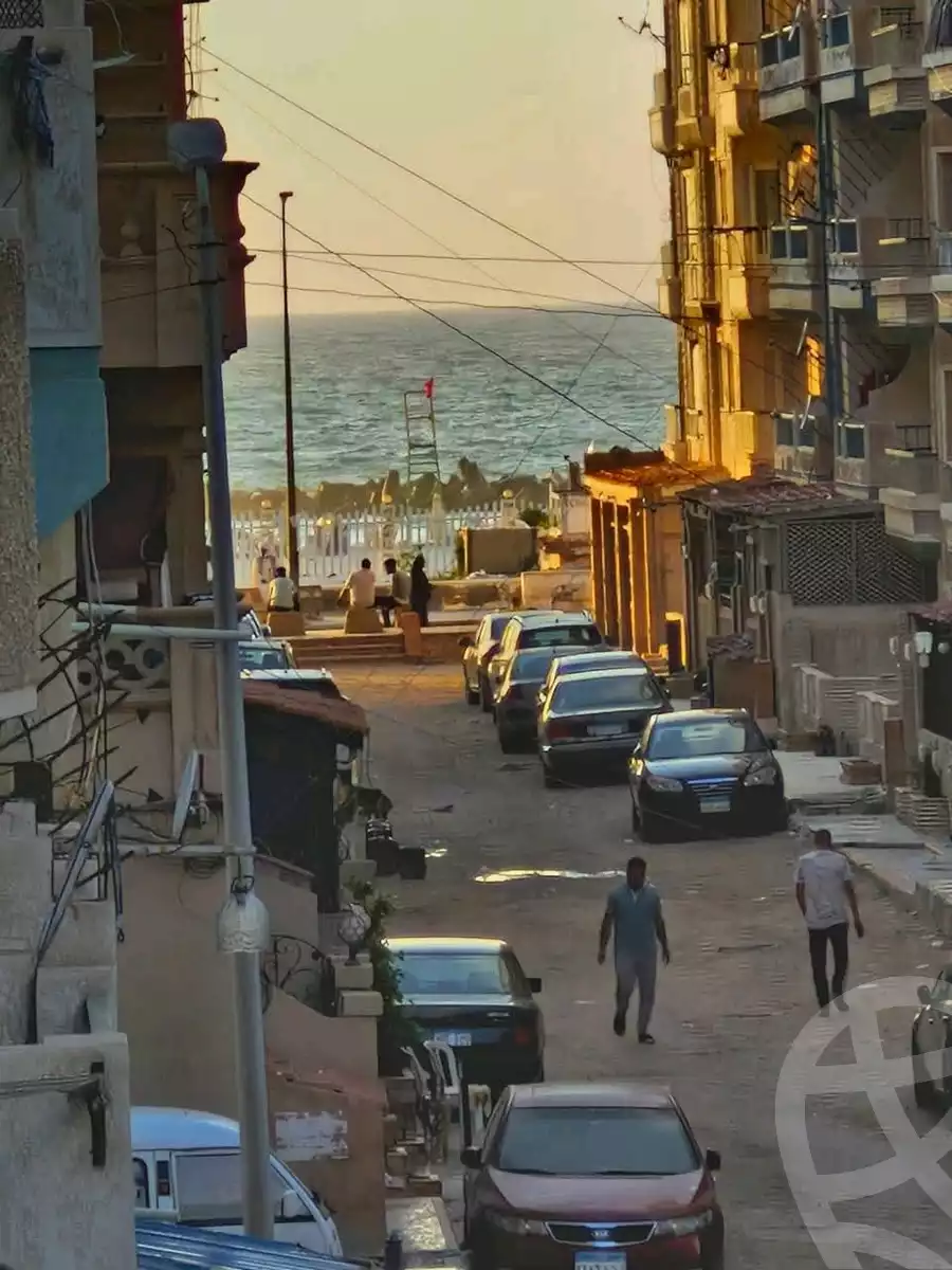 https://aqarmap.com.eg/en/listing/6026990-for-sale-alexandria-l-jmy-shataa-el-nakheel