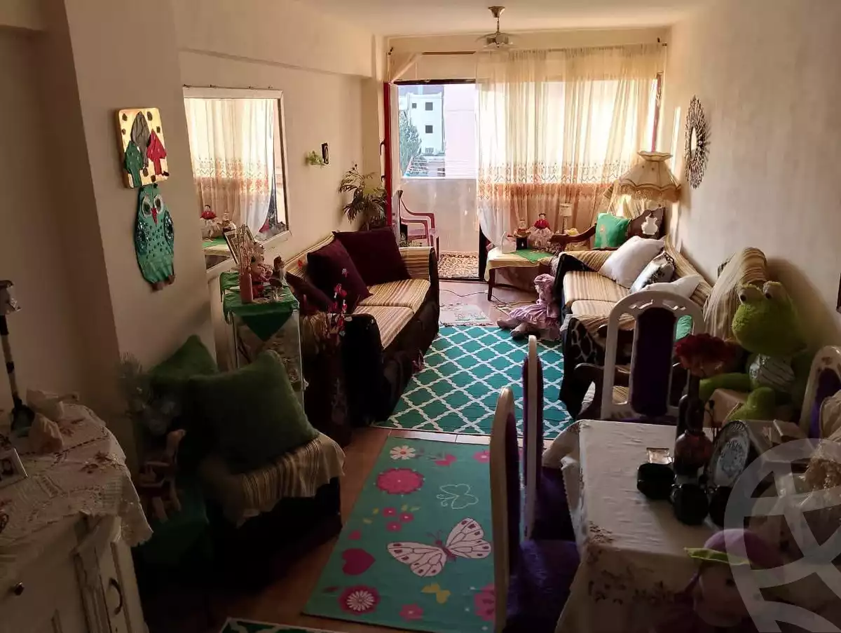 https://aqarmap.com.eg/en/listing/6027264-for-rent-alexandria-l-jmy-lbytsh-bianchiii