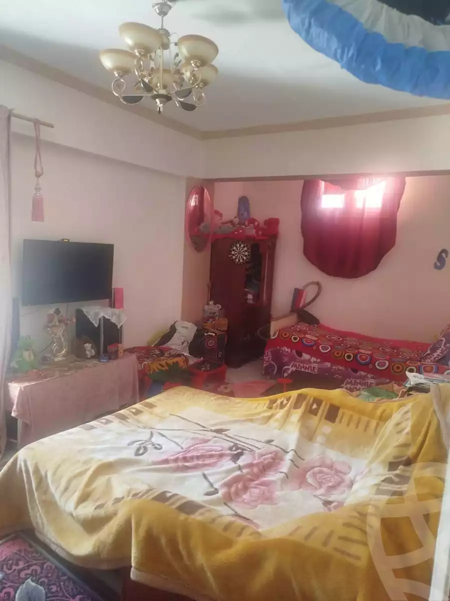 https://aqarmap.com.eg/en/listing/6028059-for-rent-alexandria-l-jmy-lbytsh-el-hanafeya-st