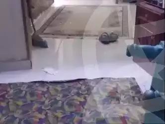https://aqarmap.com.eg/en/listing/6012347-for-sale-cairo-el-sayyeda-zeinab