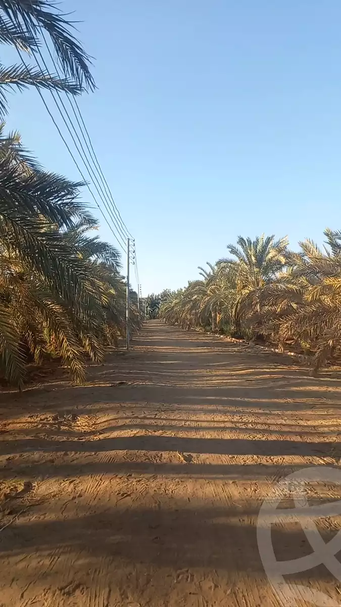 https://aqarmap.com.eg/en/listing/6035061-for-sale-cairo-ljyz-bahariya-oasis