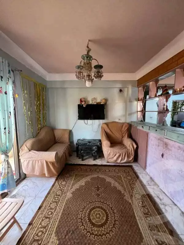 https://aqarmap.com.eg/en/listing/6037132-for-sale-alexandria-l-jmy-lbytsh-khalil-ballw-st