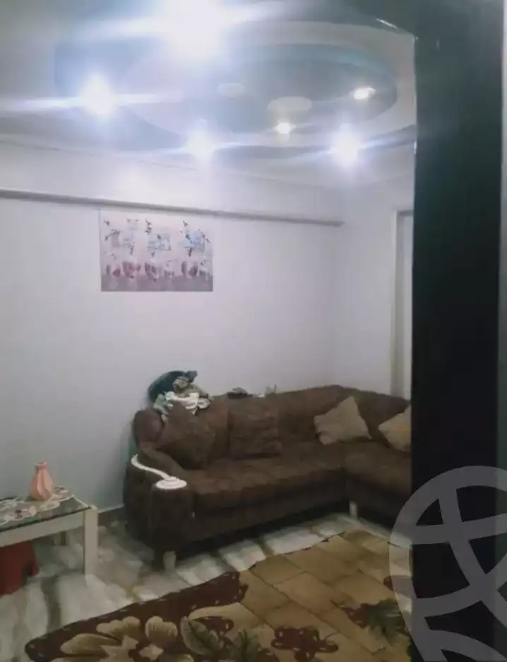 https://aqarmap.com.eg/ar/listing/6037971-for-sale-alexandria-l-jmy-lbytsh-el-hoda-st