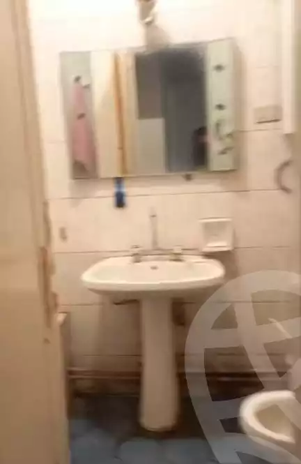 https://aqarmap.com.eg/en/listing/6039191-for-sale-cairo-manial