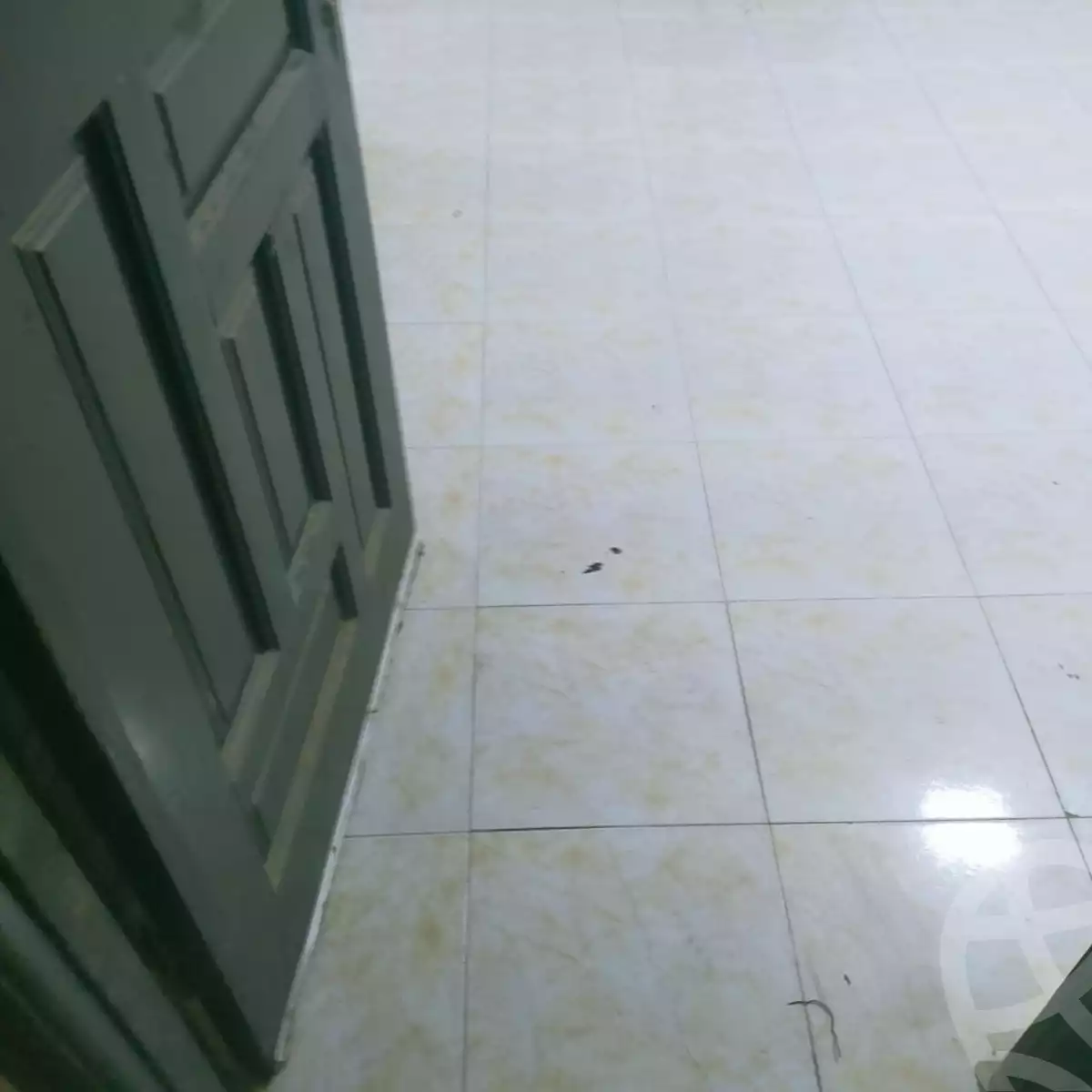https://aqarmap.com.eg/en/listing/5277816-for-rent-cairo-6th-of-october-lhsry
