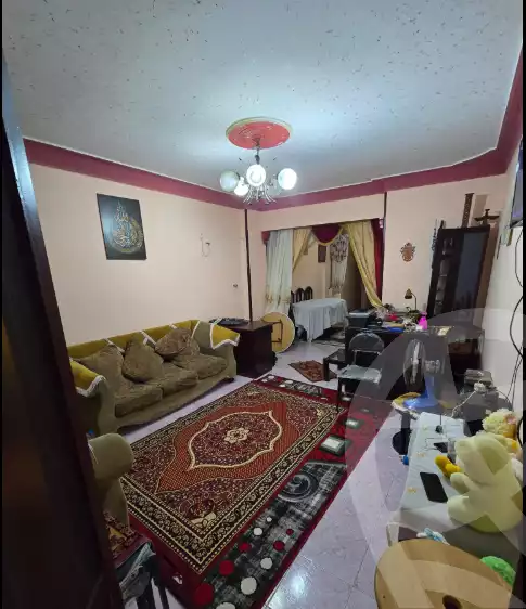 https://aqarmap.com.eg/en/listing/6047751-for-sale-alexandria-l-jmy-bw-ywsf