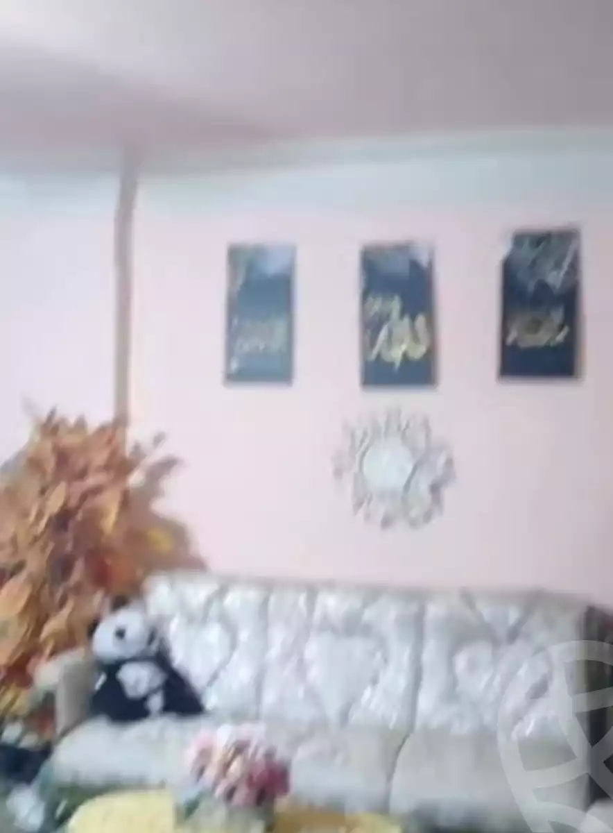 https://aqarmap.com.eg/ar/listing/6048025-for-sale-alexandria-l-jmy-el-hanouvel-el-salam-st