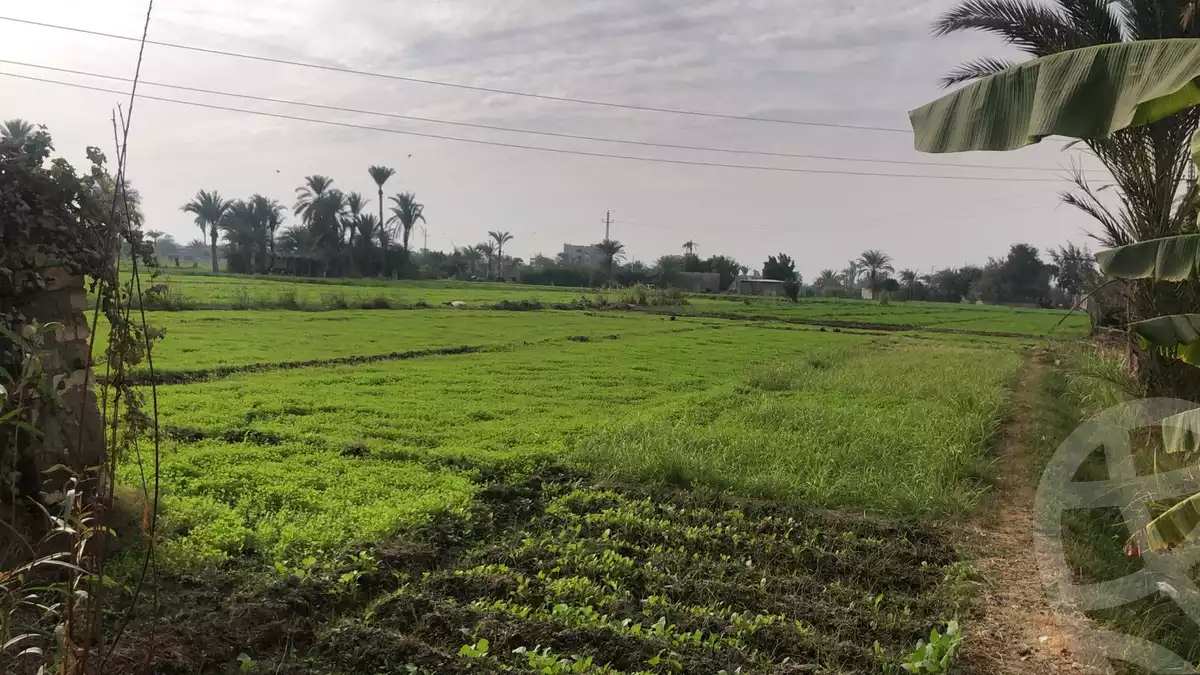 https://aqarmap.com.eg/en/listing/6048685-for-sale-el-fayoum-sinnuris-el-zawia-el-khadra