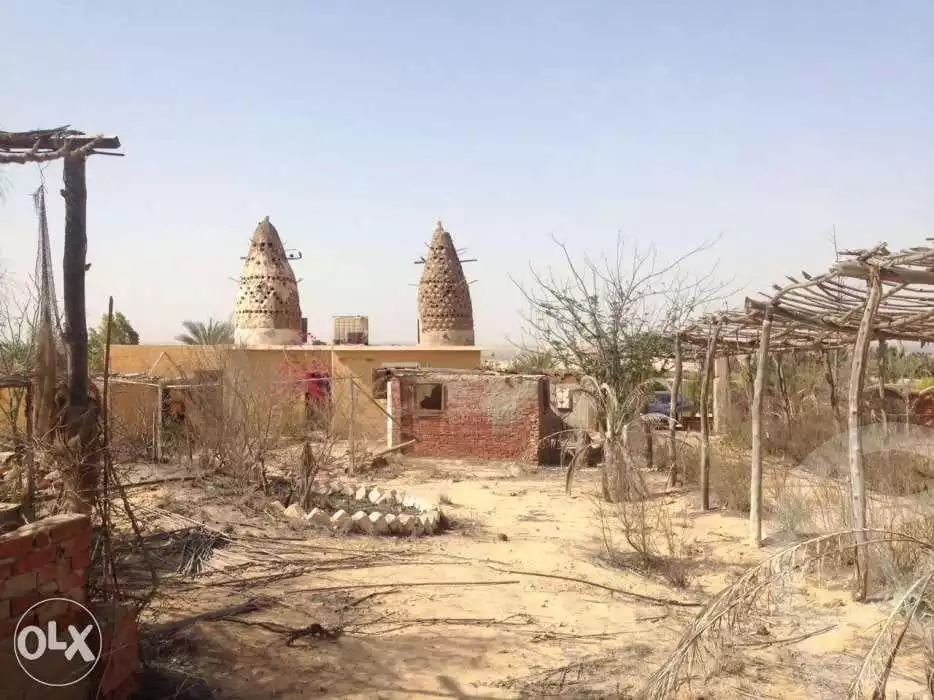 https://aqarmap.com.eg/en/listing/6048946-for-sale-cairo-el-sheikh-zayed-city-lshykh-zyd-ljdyd-el-reef-el-oroby