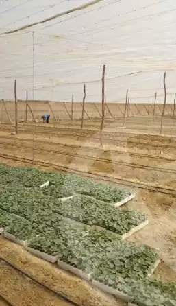 https://aqarmap.com.eg/ar/listing/6049102-for-sale-beheira-wadi-el-natrun